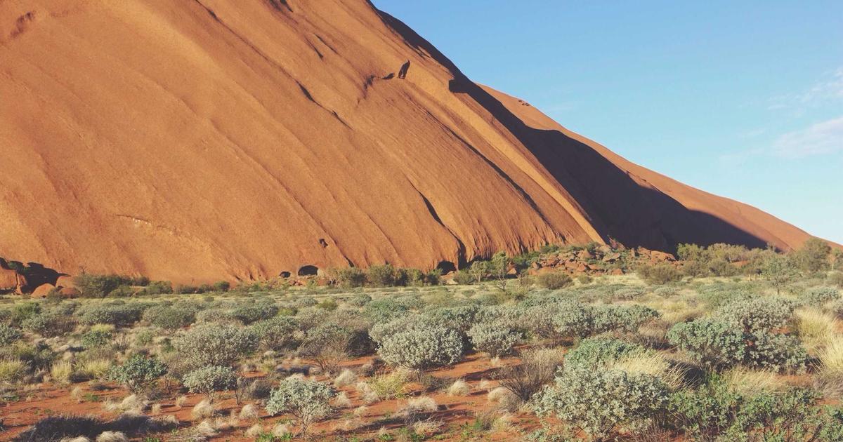 8 Distinguished Culinary Techniques That Defined Haute Cuisine in Parisian Restaurants During the Belle Époque