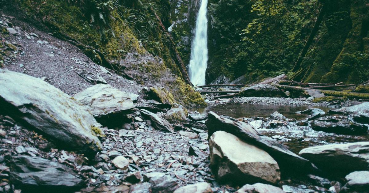 6 Pioneering Horticultural Techniques That Transformed Formal Garden Design in the Victorian Era