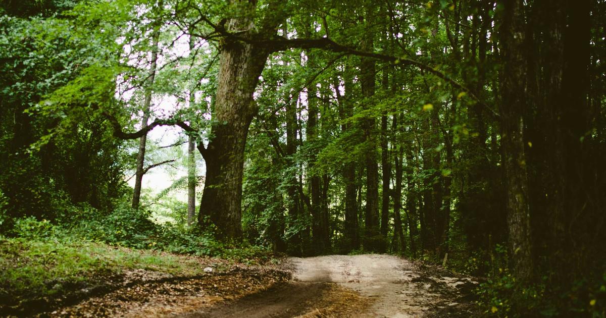 7 Grand Alpine Hotels of the Belle Époque: Mountain Retreats and Their Distinguished Guests