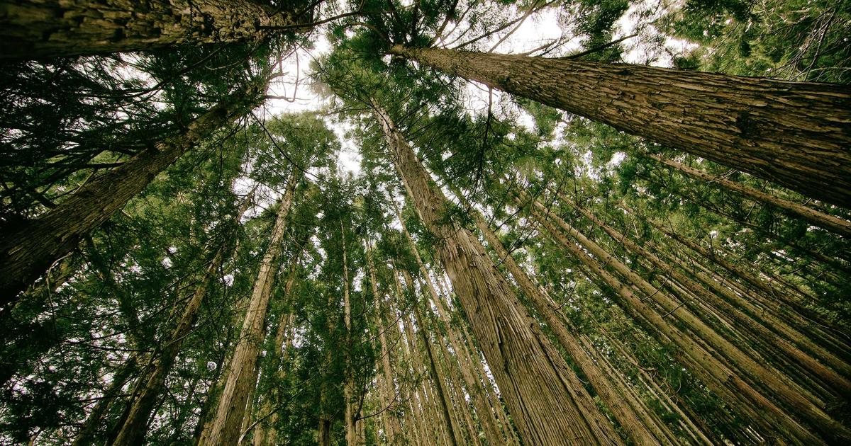 5 Distinguished Financial Instruments That Facilitated International Trade During the Industrial Revolution