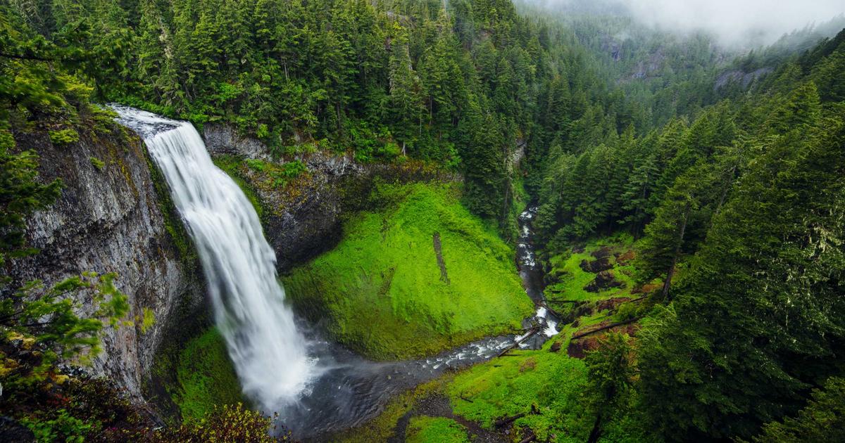 7 Essential Domestic Appliances That Transformed Household Management in the Early 20th Century