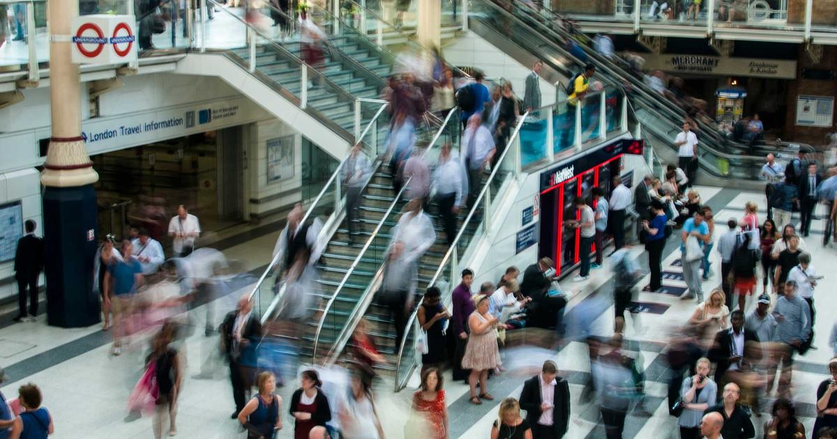 4 Traditional Apothecary Remedies from the 19th Century: Ingredients and Applications