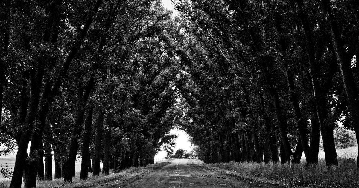 6 Curious Automatons and Mechanical Marvels That Fascinated Public Exhibitions in the Late 19th Century