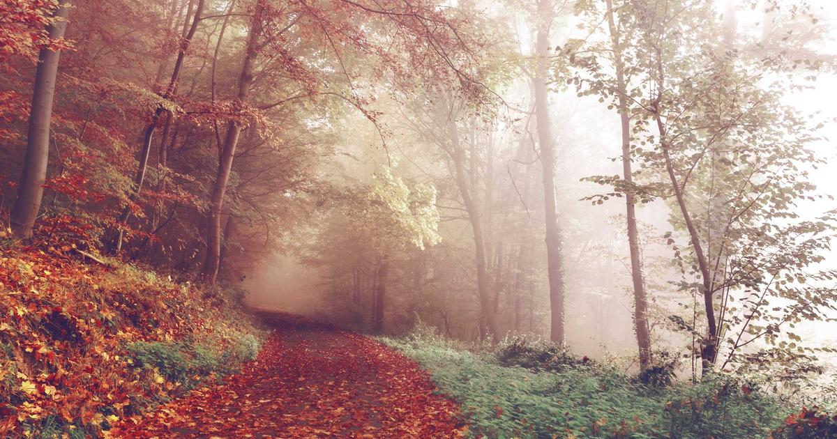 6 Distinguished Phonographic Recordings That Preserved the Golden Age of Operatic Performance