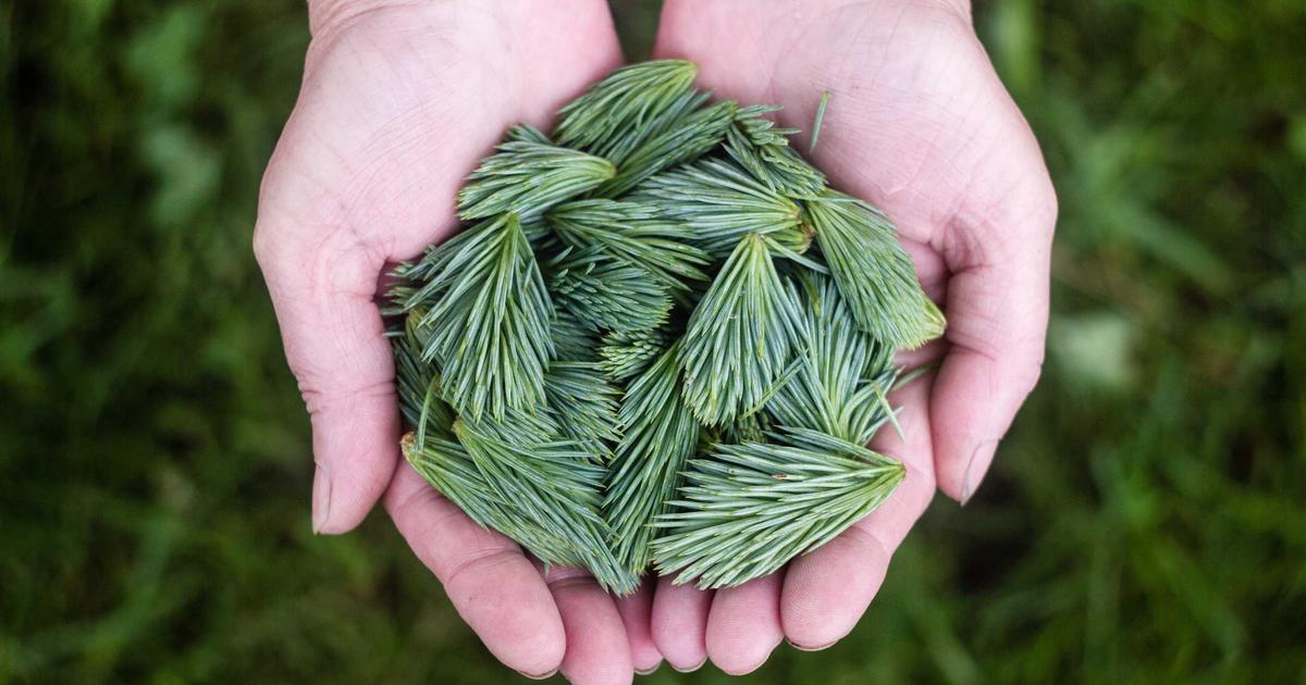 6 Majestic Railway Journeys That Revolutionized Continental Travel in the Late 19th Century