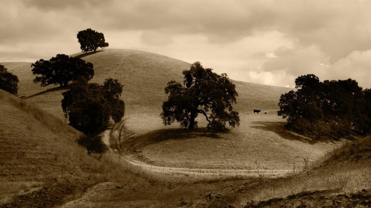 5 Ingenious Mechanical Calculators That Preceded the Digital Age — illustration 3