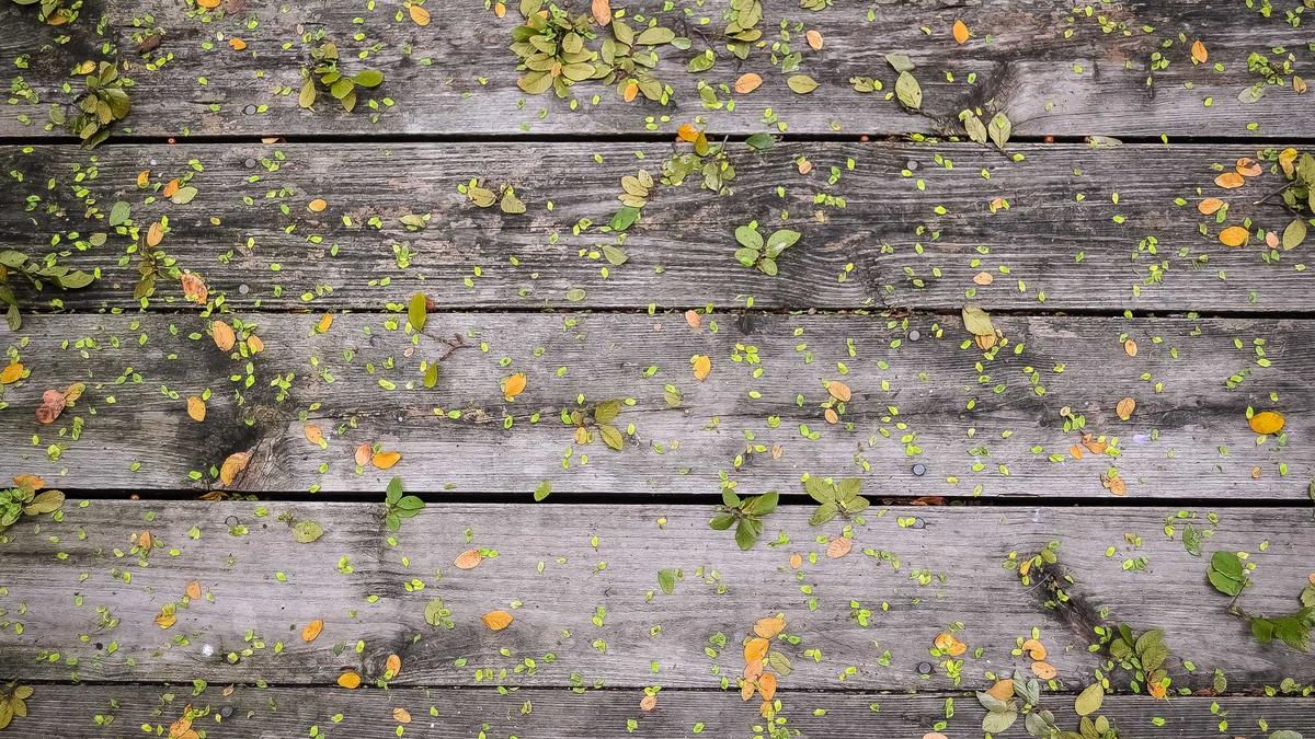 7 Essential Domestic Appliances That Transformed Household Management in the Early 20th Century — illustration 1