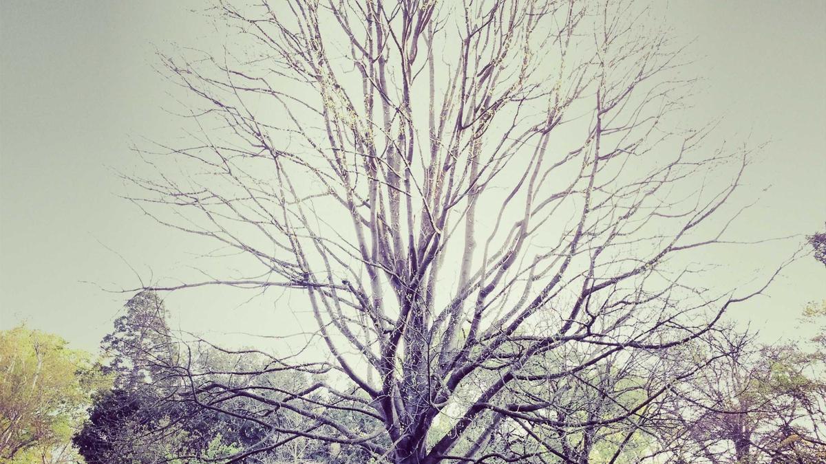 7 Distinguished Opera Houses That Became Cultural Landmarks During Europe's Romantic Period — illustration 3