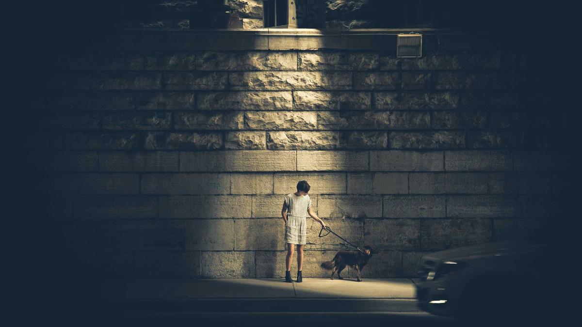 6 Majestic Railway Journeys That Revolutionized Continental Travel in the Late 19th Century — illustration 3