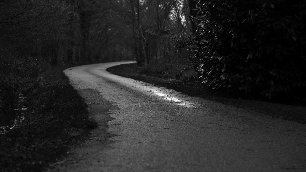 7 Grand Alpine Hotels of the Belle Époque: Mountain Retreats and Their Distinguished Guests — illustration 1