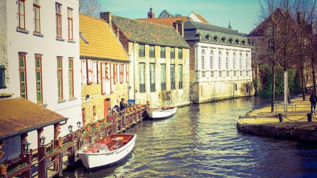 4 Traditional Apothecary Remedies from the 19th Century: Ingredients and Applications — illustration 1