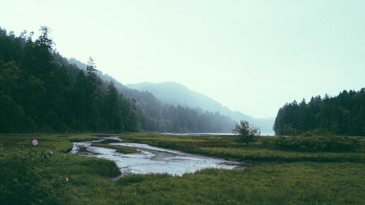 5 Forgotten Parlor Games from the Victorian Drawing Room: Rules and Social Significance — illustration 1