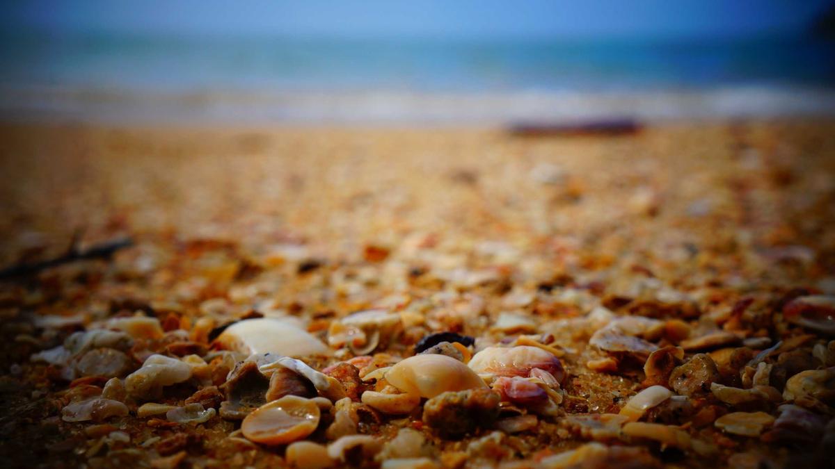 4 Traditional Etiquette Practices from the Edwardian Era — illustration 3