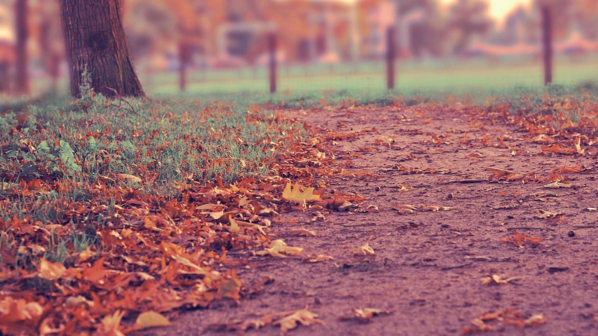 8 Distinguished Literary Salons That Fostered Intellectual Discourse During the Belle Époque — illustration 1