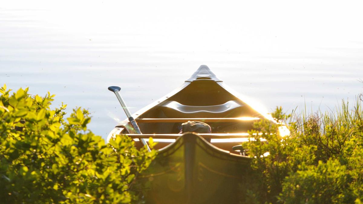 8 Elegant Social Customs That Governed Victorian Society Gatherings — illustration 1