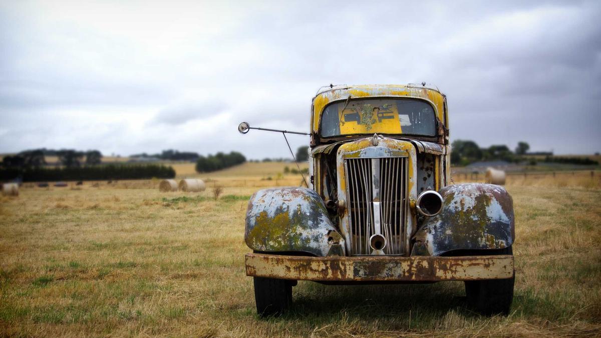 5 Traditional Herb Gardens of the Colonial American Homestead: Cultivation and Medicinal Uses — illustration 3