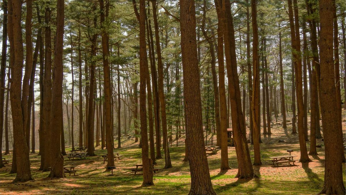 5 Distinguished Financial Instruments That Facilitated International Trade During the Industrial Revolution — illustration 1