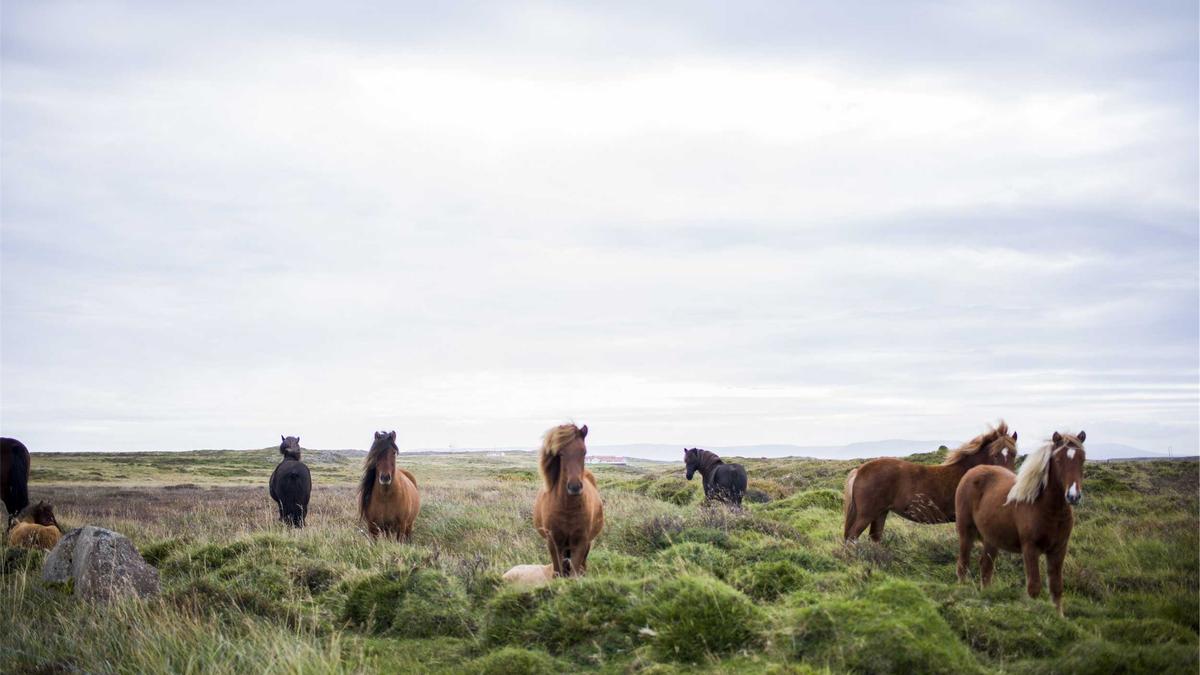 6 Magnificent Grand Hotels That Epitomized Luxury Travel in the Gilded Age — illustration 1