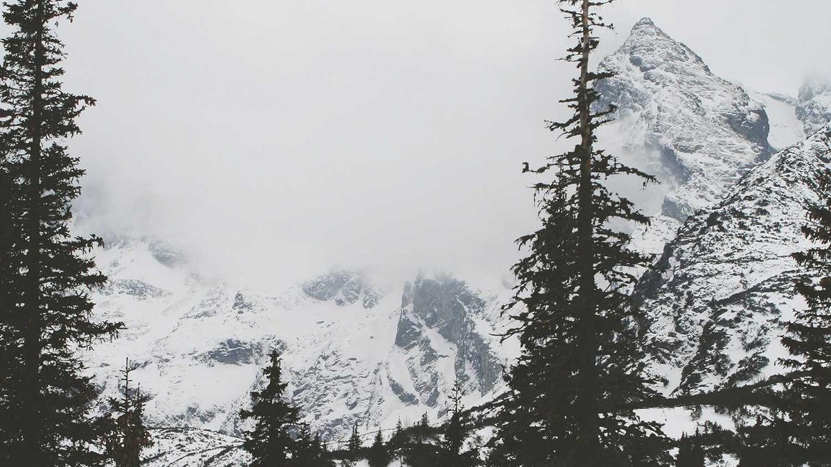 5 Forgotten Vaudeville Acts That Captivated Audiences Before the Talkies — illustration 3