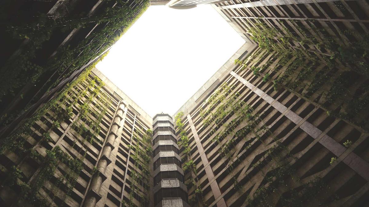 6 Pioneering Horticultural Techniques That Transformed Formal Garden Design in the Victorian Era — illustration 3